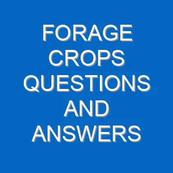 Forage Crops Questions And Answers 4593