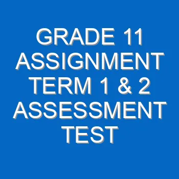 Grade 11 Assignment Term 1 2 Assessment Test 2022 2023 With Memos 4289