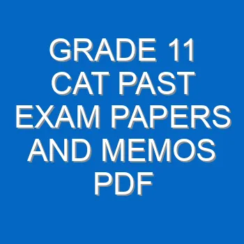 Grade 11 Cat Past Exam Papers And Memos Pdf Download 4273