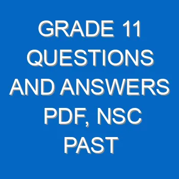 Grade 11 Questions And Answers Pdf Nsc Past Papers Part 2 4279