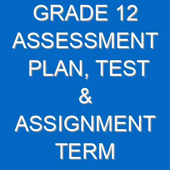 Grade 12 Assessment Plan Test Assignment Term 1 Term 2 For 2022 23 4295