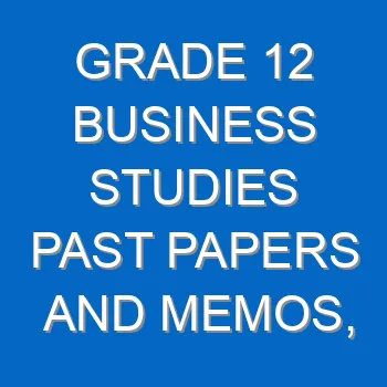 Grade 12 Business Studies Past Papers And Memos Questions And Answers Pdf Free Download 4372