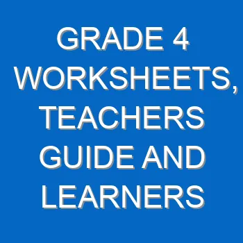 Grade 4 Worksheets Teachers Guide And Learners Guide 4195