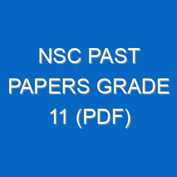Nsc Past Papers Grade 11 Pdf 4276