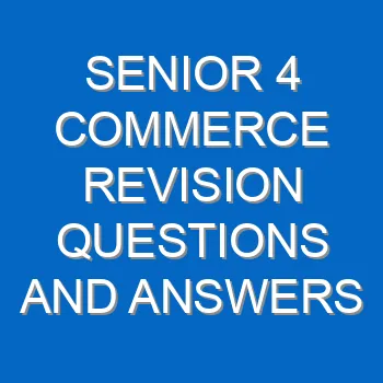 Senior 4 Commerce Revision Questions And Answers Past Papers Pdf 3783
