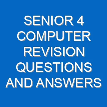 Senior 4 Computer Revision Questions And Answers Past Papers Pdf 3787