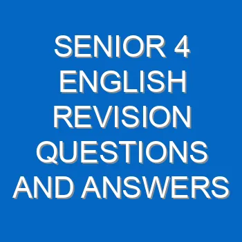Senior 4 English Revision Questions And Answers Past Papers Pdf 3794