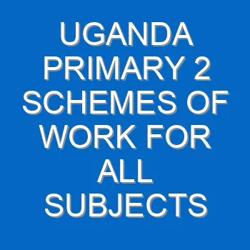 Uganda Primary 2 Schemes Of Work For All Subjects 757