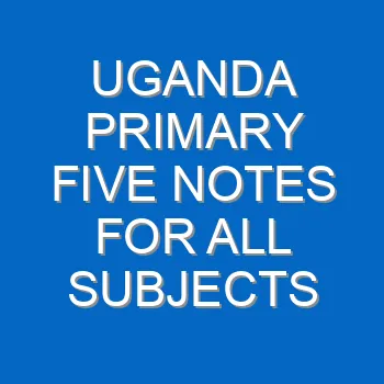 Uganda Primary Five Notes For All Subjects 771