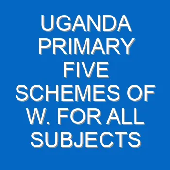 Uganda Primary Five Schemes Of W For All Subjects 775