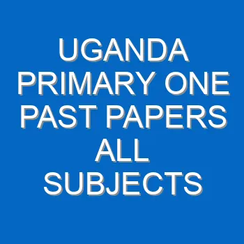 Uganda Primary One Past Papers All Subjects 751