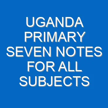 Uganda Primary Seven Notes For All Subjects 783