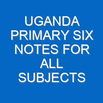 Uganda Primary Six Notes For All Subjects 777
