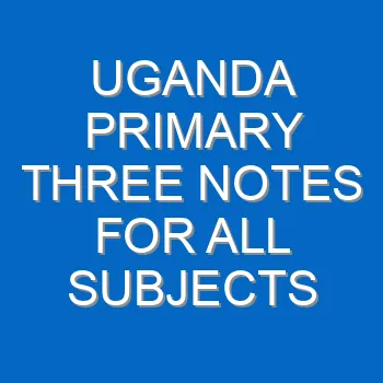Uganda Primary Three Notes For All Subjects 759