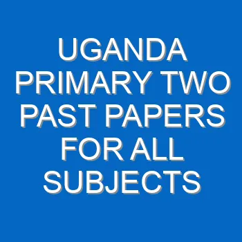 Uganda Primary Two Past Papers For All Subjects 755