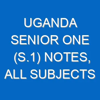 Uganda Senior One S 1 Notes All Subjects 814