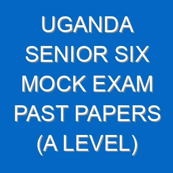 Uganda Senior Six Mock Exam Past Papers A Level 4553