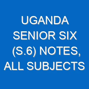 Uganda Senior Six S 6 Notes All Subjects 825