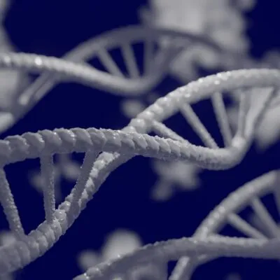 12 Genetics Questions And Answers