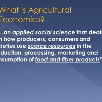 Agricultural Economics Iii Production Economics Questions And Answers