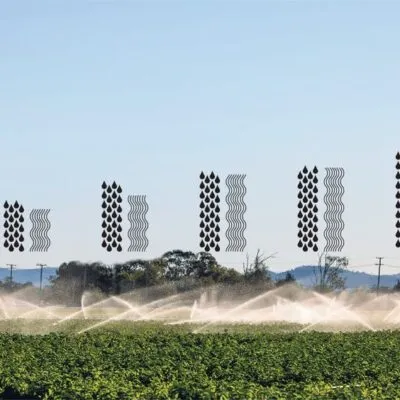 Agriculture Form 2 Crop Production Ii Planting
