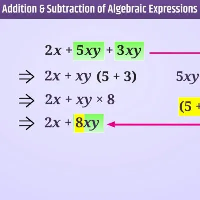 Algebraic Expressions Questions And Answers