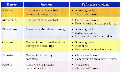 Biology O Levelform Two Notes Nutrition 1