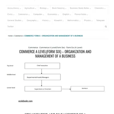 Commerce A Levelform Six Notes Organization And Management Of A Business