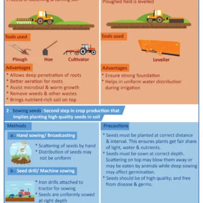 Crop Production Ii Planting Questions And Answers