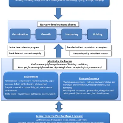 Crop Production Iii Nursery Management Practices Questions And Answers