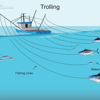 Geography Form 4 Notes Fishing