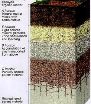Geography O Levelform Three Notes Soil