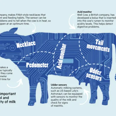 Livestock Production Iv Livestock Managment Practices Questions And Answers