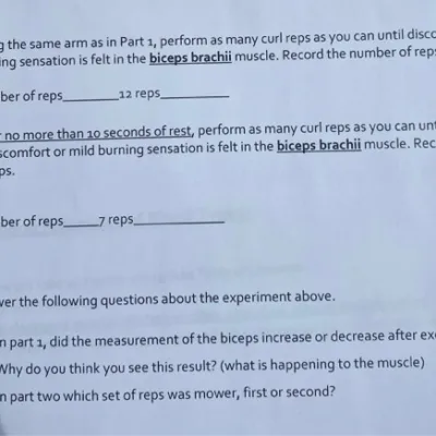 Measurement Ii Questions And Answers Part 2