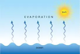 Physics O Levelform Three Notes Vapour And Humidity