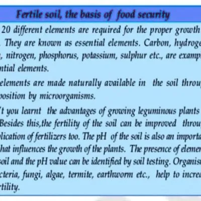 Soil Fertility Ii In Organic Fertilizers Questions And Answers
