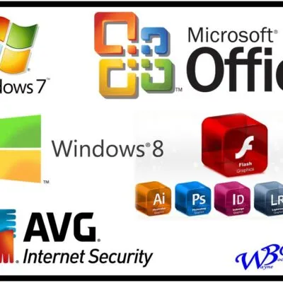 Topic 3 The Computer Software Computer Form One Notes