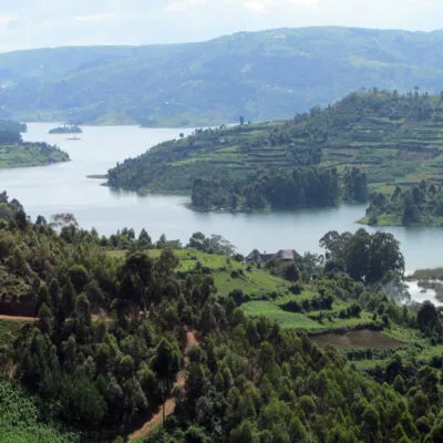 Vegetation Of Uganda